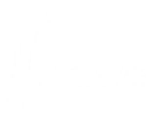Novo Guitars